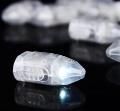 10 Lumières LED Pour Lanternes Ou Ballons - Noël - Illuminées - LED - Lampe - Ballon - Lanterne - Décoration