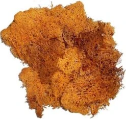 2x Sacs De Mousse De Décoration Orange 50 Grammes / Matériel De Décoration Pour Les Pièces D'automne Et De Noël