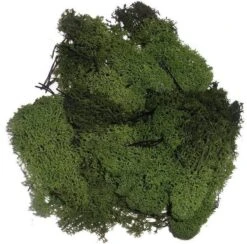 Mousse De Décoration Vert Foncé 100 Grammes - Matériaux D'artisanat Hobby Thème Automne / Noël