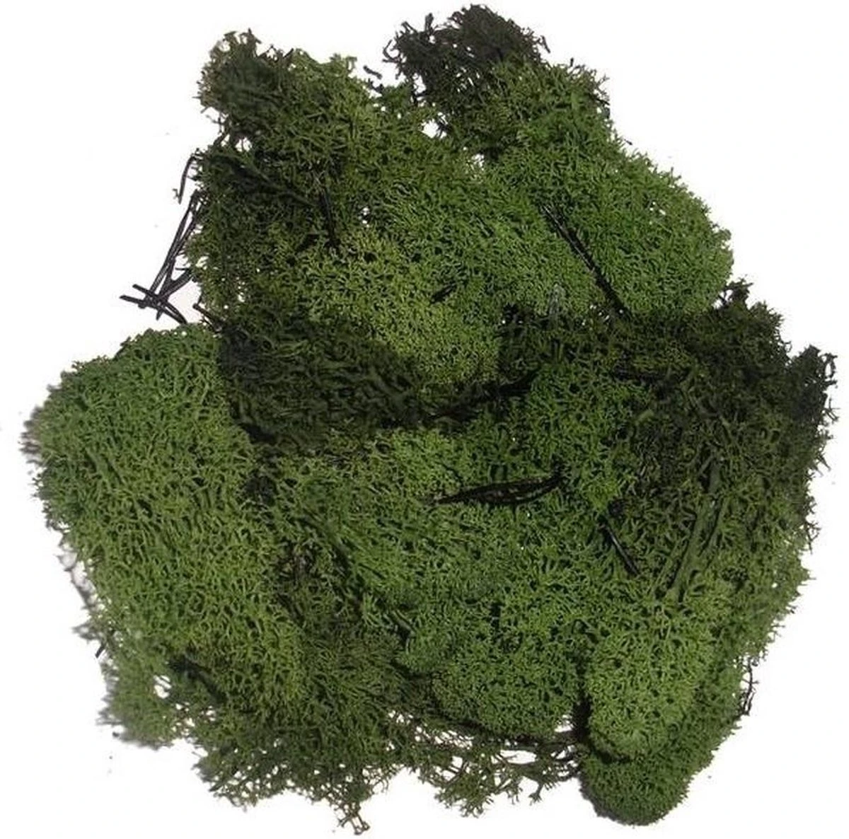 Mousse De Décoration Vert Foncé 200 Grammes - Matériaux D'artisanat Hobby Thème Automne / Noël 3 Mousse De Décoration Vert Foncé 200 Grammes - Matériaux D'artisanat Hobby Thème Automne / Noël