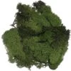 Décoration Fausse/fausse Mousse Vert Foncé 100 Grammes -Fabrication De Matériel D'artisanat Automne/pièces De Noël -DUNI Magasin 1200x1187