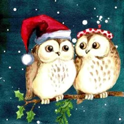 Peinture Au Diamond - Hiboux De Noël - Noël - Fabriqué Aux Pays- Nederland - 60 X 60 Cm - Toile - Pierres Carrées - Livré Sous 2-3 Jours Ouvrables