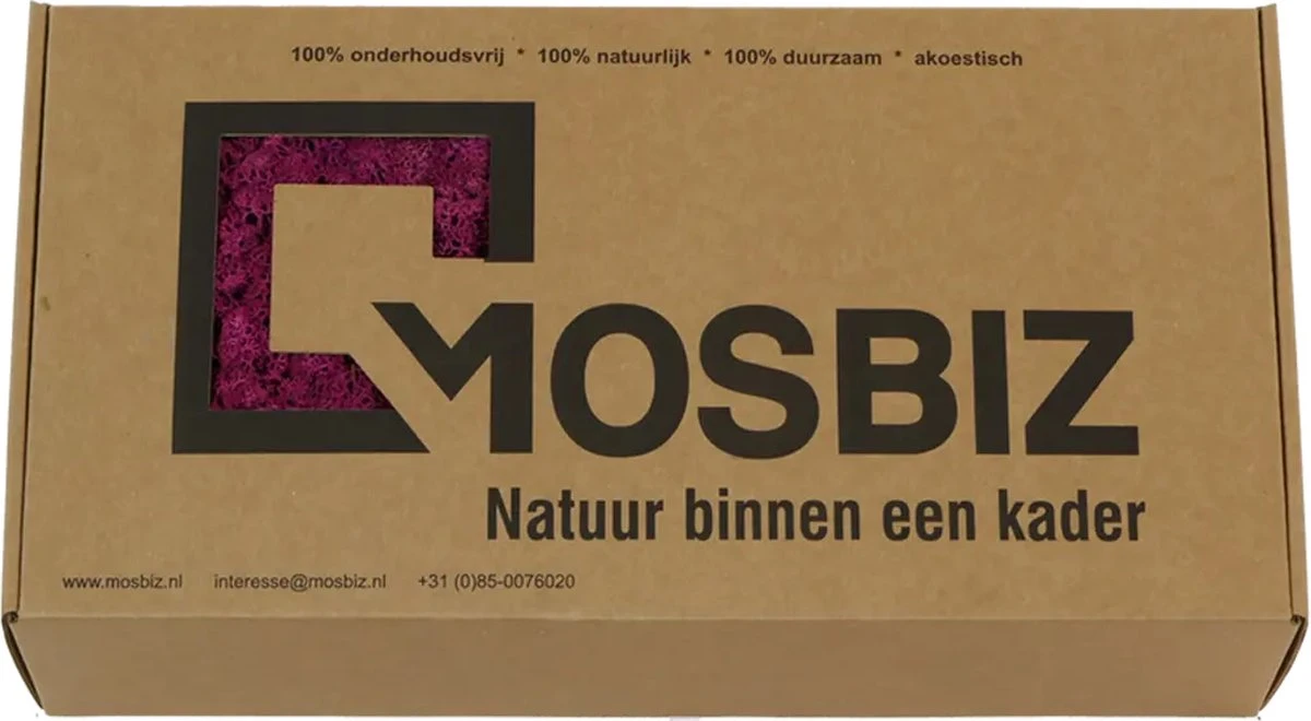 Mousse De Renne Islandaise Erica Par 500 Grammes Pour Les Décorations, Les Peintures De Mousse Et Les Pièces De Noël 4 Mousse De Renne Islandaise Erica Par 500 Grammes Pour Les Décorations, Les Peintures De Mousse Et Les Pièces De Noël – Image 2