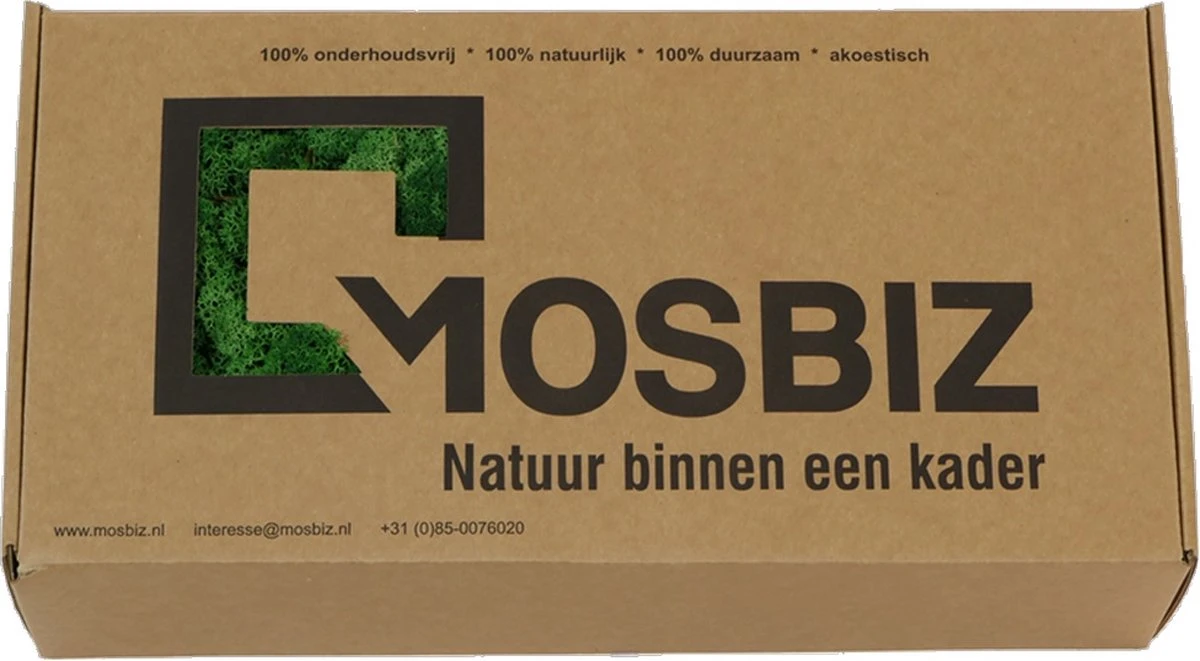 Vert D'herbe De Mousse De Renne Islandais Par 500 Grammes Pour Les Décorations, Les Peintures De Mousse Et Les Pièces De Noël 4 Vert D'herbe De Mousse De Renne Islandais Par 500 Grammes Pour Les Décorations, Les Peintures De Mousse Et Les Pièces De Noël – Image 2