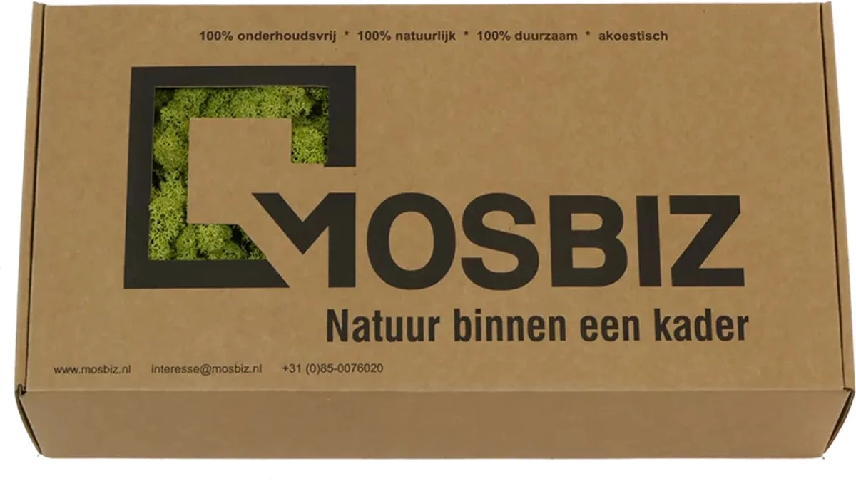 Mousse De Renne Islandaise Old Green Par 500 Grammes Pour Les Décorations, Les Peintures De Mousse Et Les Pièces De Noël 4 Mousse De Renne Islandaise Old Green Par 500 Grammes Pour Les Décorations, Les Peintures De Mousse Et Les Pièces De Noël – Image 2