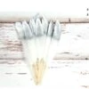 Bob Online ™ - Pack De 10 - Wit & Argent - Plumes DIY - Ressorts - Ressorts D'Oie - Plumes Peintes - Ressorts DIY White & Argent - Décorations De Noël DIY, Vêtements Artisanat, Anniversaire, Mariage Etc - Plumes à Pointe Argent Métallique -DUNI Magasin 1200x724