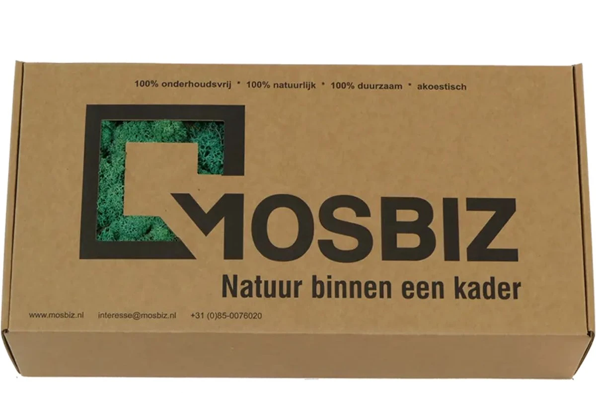 Mousse De Renne Islandaise Vert De Mer Par 500 Grammes Pour Les Décorations, Les Peintures De Mousse Et Les Pièces De Noël 4 Mousse De Renne Islandaise Vert De Mer Par 500 Grammes Pour Les Décorations, Les Peintures De Mousse Et Les Pièces De Noël – Image 2