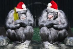 Production Néerlandaise Complète! Peinture De Diamants │ Singes Drôles De Noël │ Taille 75 X 50 Cm │ Paquet De Peinture De Diamants Adulte │ Flitzz Complète │ Carré │ Complet │ Peinture De Diamants Flitzz