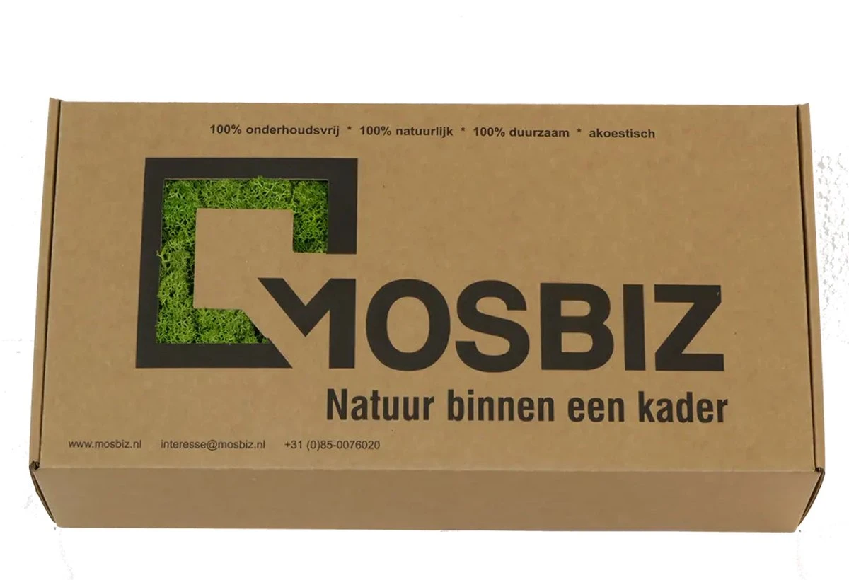 Mousse De Renne Islandaise Vert De Printemps Par 500 Grammes Pour Les Décorations, Les Peintures En Mousse Et Les Pièces De Noël 4 Mousse De Renne Islandaise Vert De Printemps Par 500 Grammes Pour Les Décorations, Les Peintures En Mousse Et Les Pièces De Noël – Image 2
