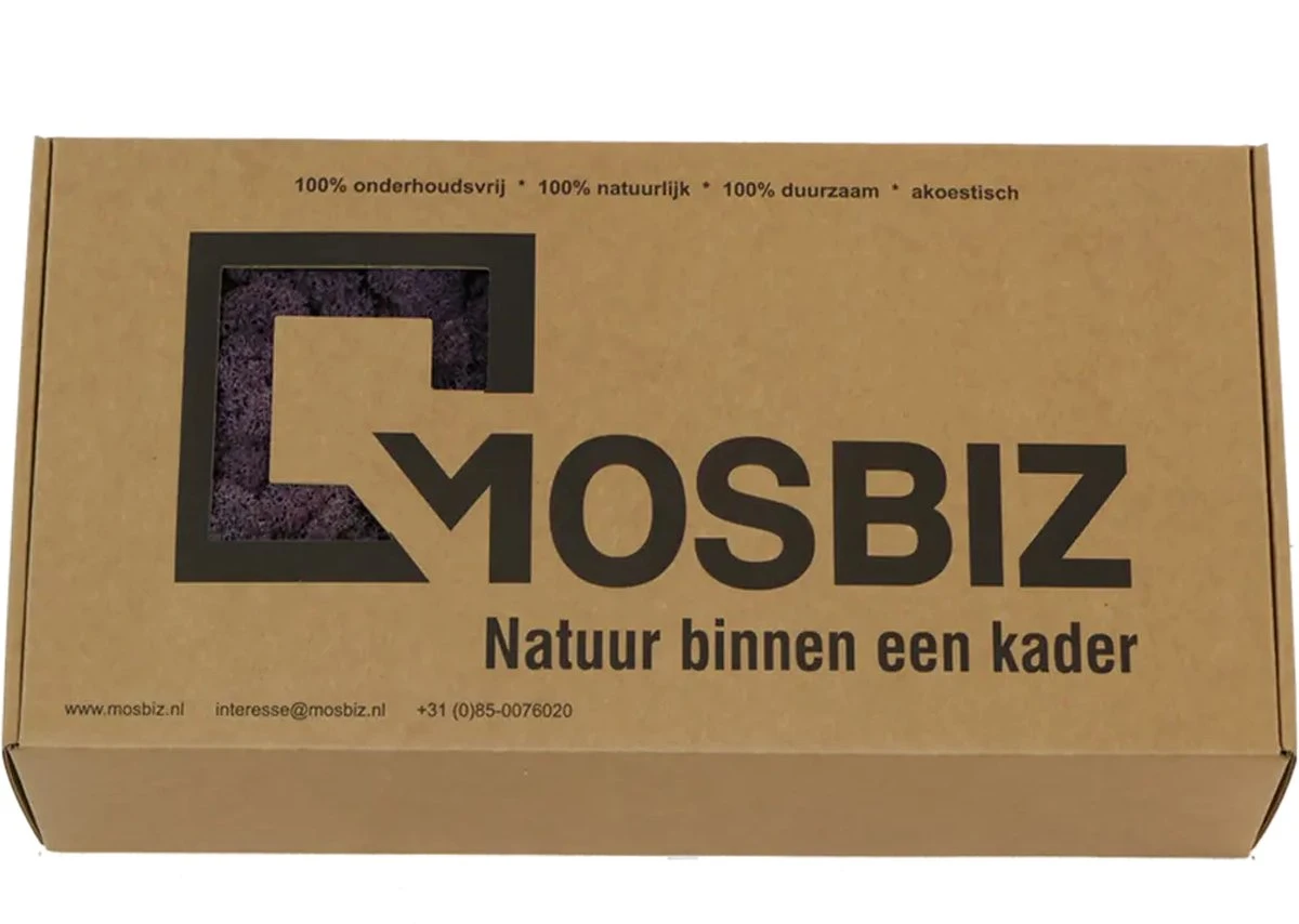Aubergine De Mousse De Renne Islandaise Par 500 Grammes Pour Les Décorations, Les Peintures De Mousse Et Les Pièces De Noël 4 Aubergine De Mousse De Renne Islandaise Par 500 Grammes Pour Les Décorations, Les Peintures De Mousse Et Les Pièces De Noël – Image 2