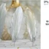Bob Online ™ - Pack 10 - Wit & Argent - Plumes DIY - Ressorts - Ressorts D'Oie - Plumes Peintes - Ressorts DIY White & Argent - DIY Décorations De Noël, Artisanat Vêtements, Anniversaire, Mariage Etc - Plumes Métalliques Gold -DUNI Magasin 1200x894