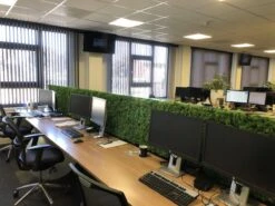 Herbe De Mousse De Renne Islandaise Vert Clair Par 500 Grammes Pour Les Décorations, Les Peintures De Mousse Et Les Pièces De Noël -DUNI Magasin 1200x899 4