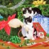 Paquet De Peinture De Diamants - Série De Noël - Chats Et Sapin De Noël - 40x30 Cm - Set Complet - Couverture Complète - Pierres Rondes - Dielay