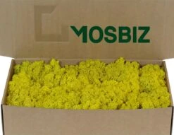 Mousse De Renne Islandaise Jaune Citron Par 500 Grammes Pour Les Décorations, Les Peintures En Mousse Et Les Pièces De Noël