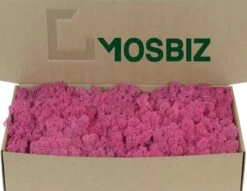 Mousse De Renne Islandaise Fuchsia Par 500 Grammes Pour Les Décorations, Les Peintures De Mousse Et Les Pièces De Noël
