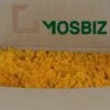 MosBiz Icelandic Reindeer Moss Oranje Par 500 Grammes Pour Les Décorations, Les Peintures En Mousse Et Les Pièces De Noël -DUNI Magasin 1200x930