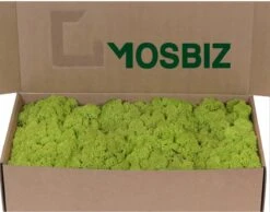 Mousse De Renne Islandaise Vert De Printemps Par 500 Grammes Pour Les Décorations, Les Peintures En Mousse Et Les Pièces De Noël