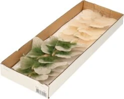 10x Pcs Décoration Papillons Sur Clip Crème/beige 11 X 8 Cm - Décoration Papillons - Décoration Décorations Pour Sapins De Noël 14 10x Pcs Décoration Papillons Sur Clip Crème/beige 11 X 8 Cm - Décoration Papillons - Décoration Décorations Pour Sapins De Noël -DUNI Magasin 1200x963