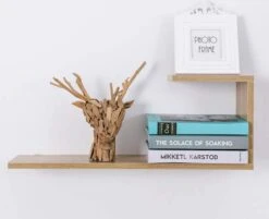 Zoylink 30 Pièces Pièce De Bois Flotté DIY Artisanat Bois Artisanat De Noël Bois Créatif Aquarium Décor Naturel Aquarium Décoration En Bois -DUNI Magasin 1200x976